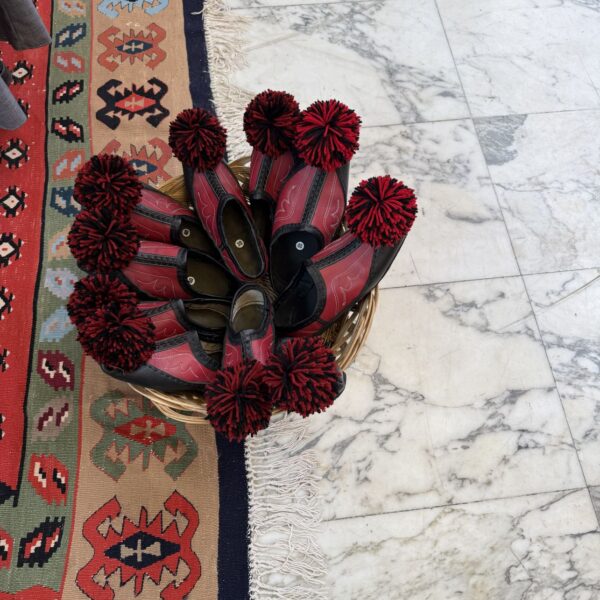 15 04 2026 Samiti i IV i Diasporës Tiranët013